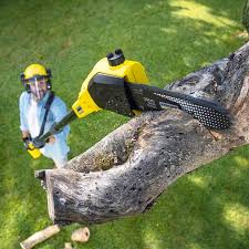 Best Lawn Watering Services  in Rockville, MD