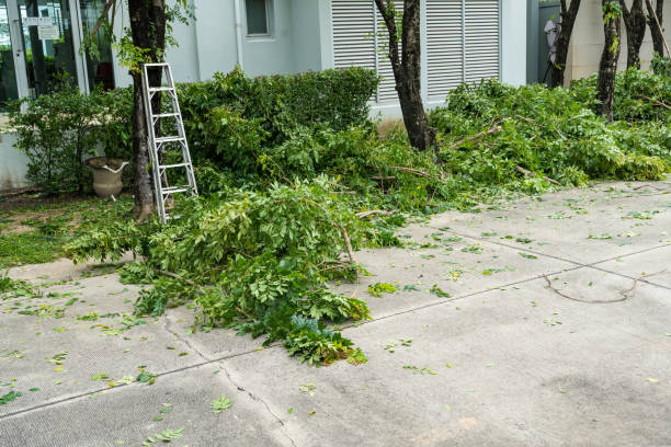 Best Leaf Removal  in Rockville, MD