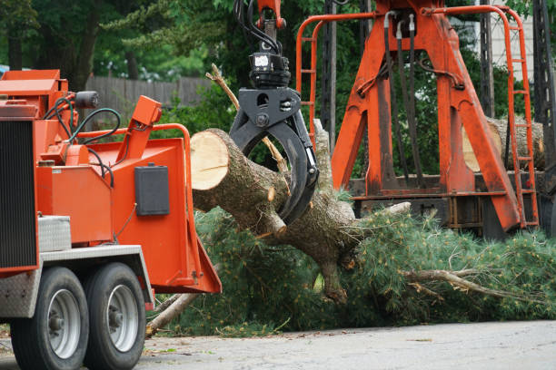 Best Weed Control  in Rockville, MD