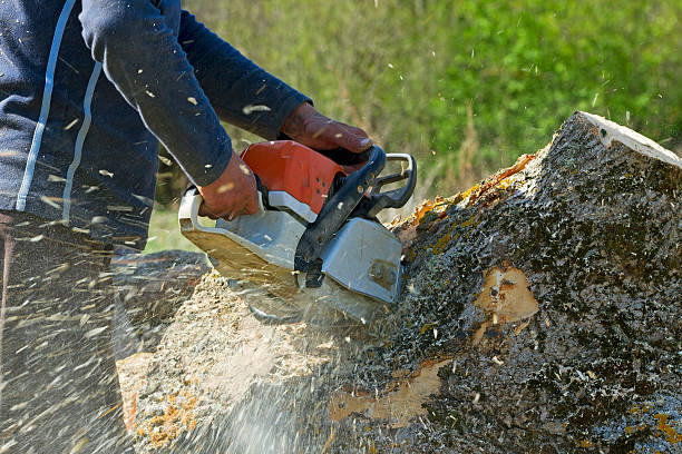 Best Soil Testing and Treatment  in Rockville, MD